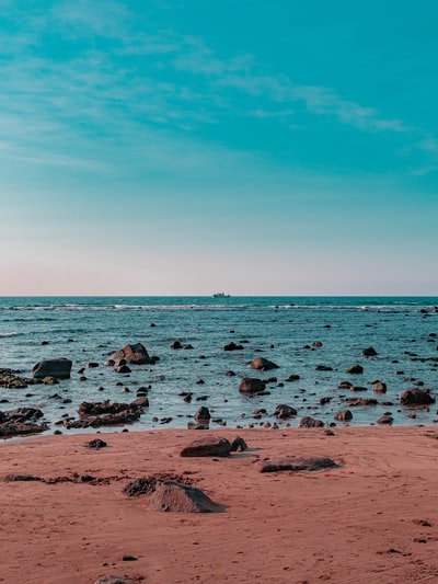 在白天的棕色岩石海岸
